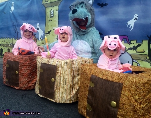 The Three little Pigs and the Big Bad Wolf Costume