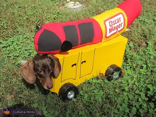 The Wienermobile Dog Costume