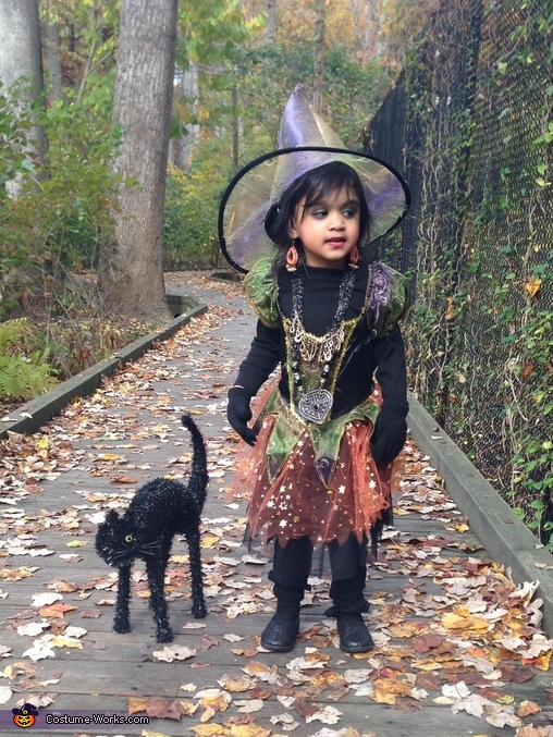 The Witch Costume