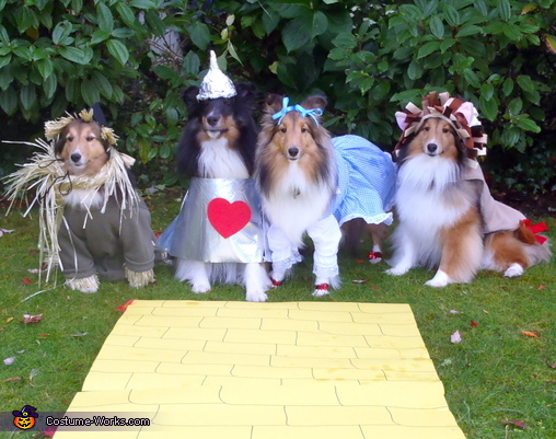 Wizard of Oz Dog Costumes