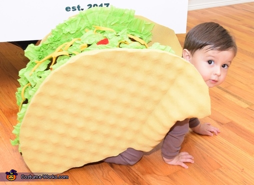 The World Famous 23 lb Super Taco Costume