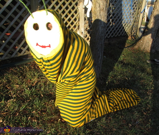 worm costume