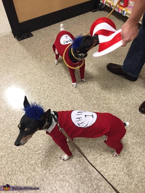 Thing 1 and Thing 2 Dog Costumes