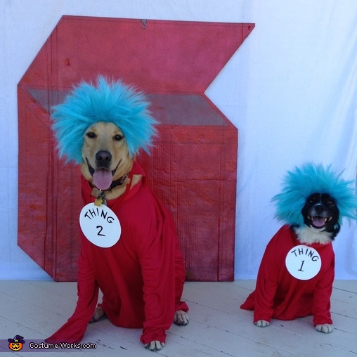 Thing 1 & 2 Dogs Costume