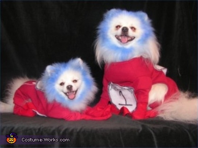 Thing 1 and Thing 2 Costume