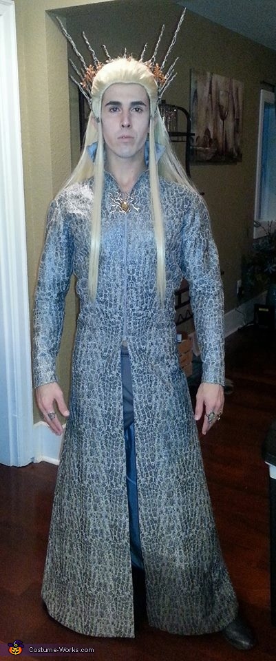 Thranduil, King of Mirkwood Costume