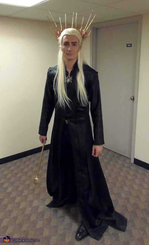 Thranduil the Elvenking Costume