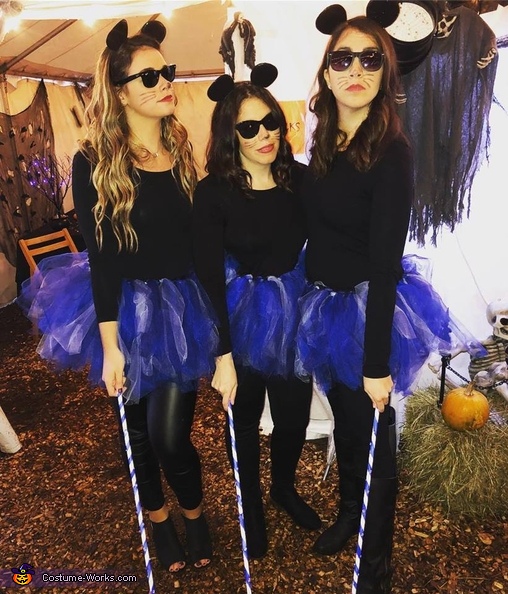 Three blind deals mice costume