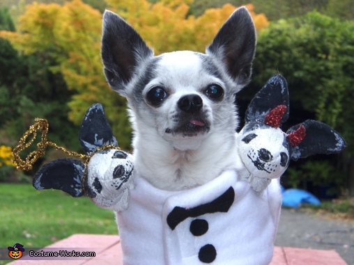 Three Headed Chihuahua Costume