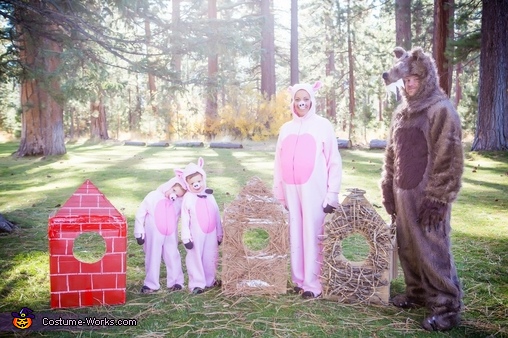 Three Little Pigs and the Big Bad Wolf Family Costume