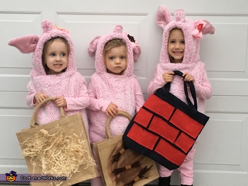Three Little Pigs and The Big Bad Wolf Costume | DIY Costumes Under $65 ...