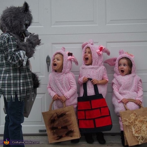 Three Little Pigs and The Big Bad Wolf Costume | DIY ...