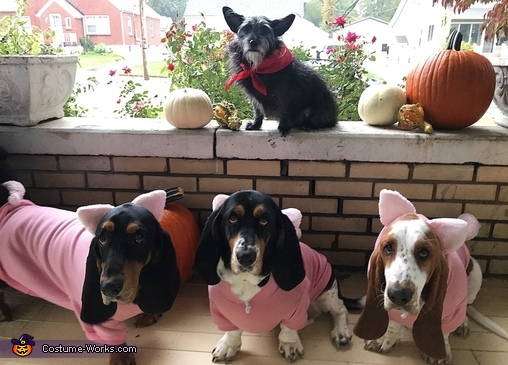 halloween barney costume for oblong dogs