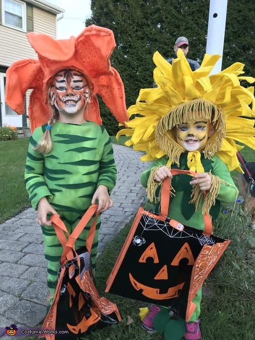 Tiger-Lily and Dande-Lion Costume