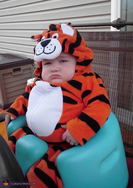 diy tiger costume