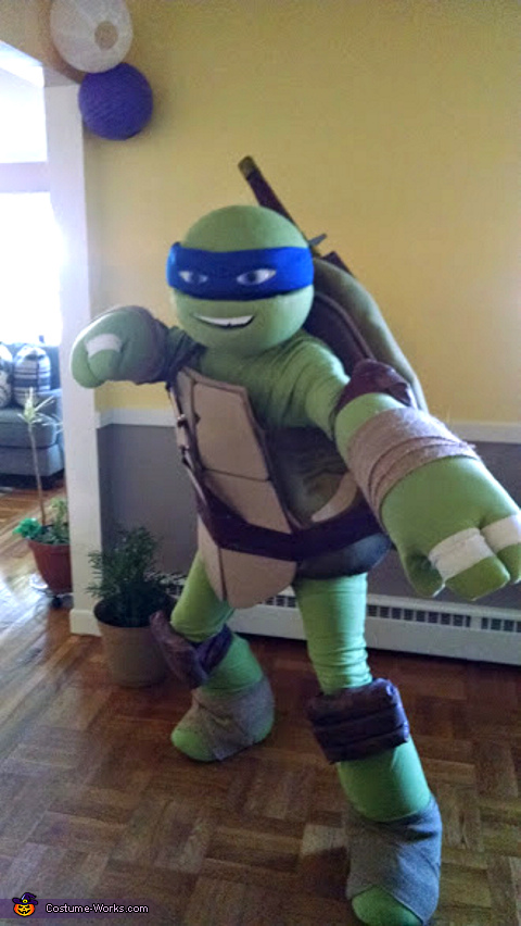 Mascot Costume Ninja Turtle