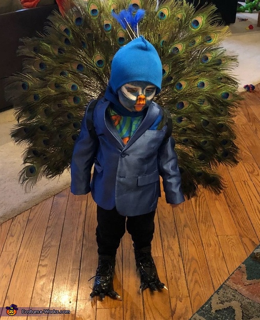Toddler Peacock Costume