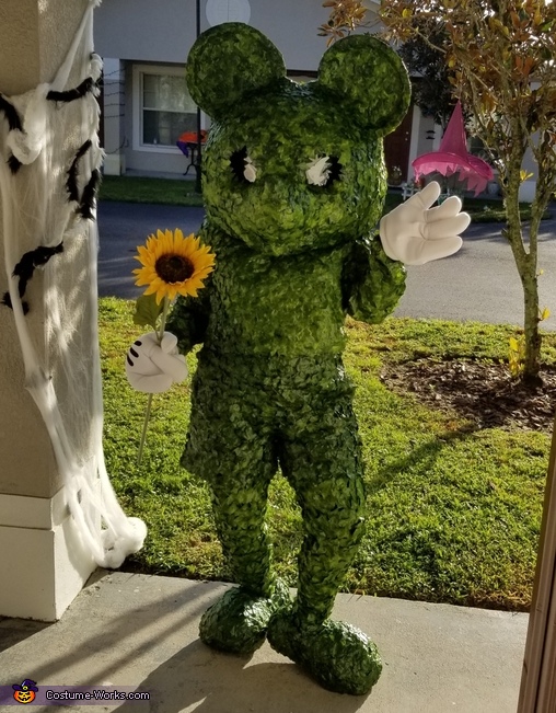 Topiary Mickey Costume