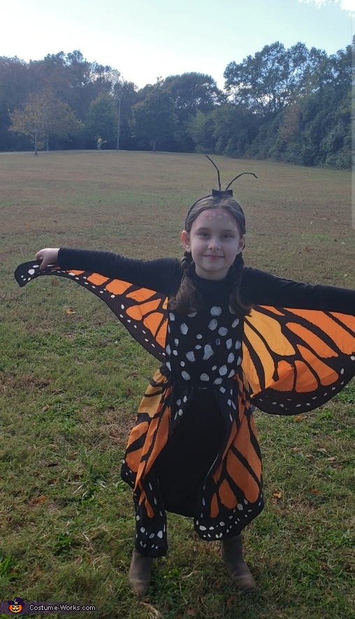 Transforming Butterfly Costume