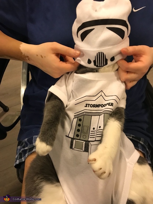 Trooper the Star Wars Storm Trooper Costume