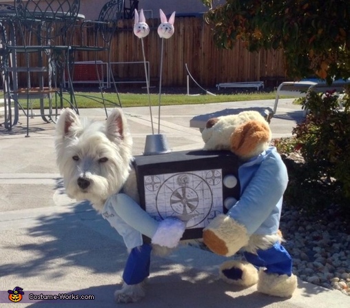 Westie costumes hotsell