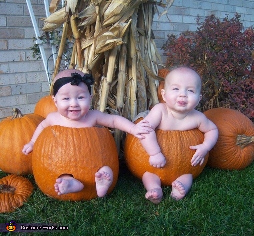 toddler twins mini pumpkins