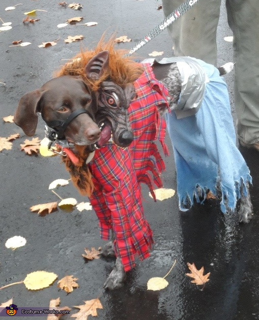 Two Headed Werewolf Dog Costume No Sew DIY Costumes