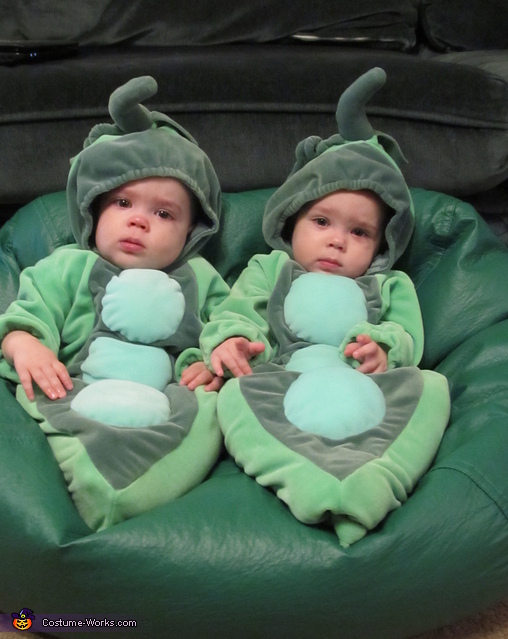 Two Peas in a Pod - Halloween Costume Ideas for Babies - Photo 3/3