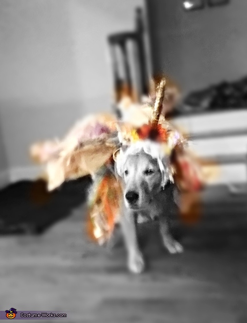 Unicorn Dog Costume