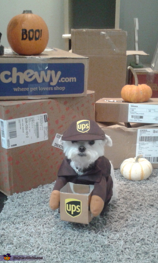 UPS Driver Costume