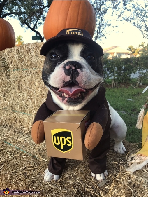 UPS Mailman Costume