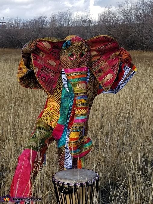 Vibrant African Elephant Costume | DIY Costumes Under $45