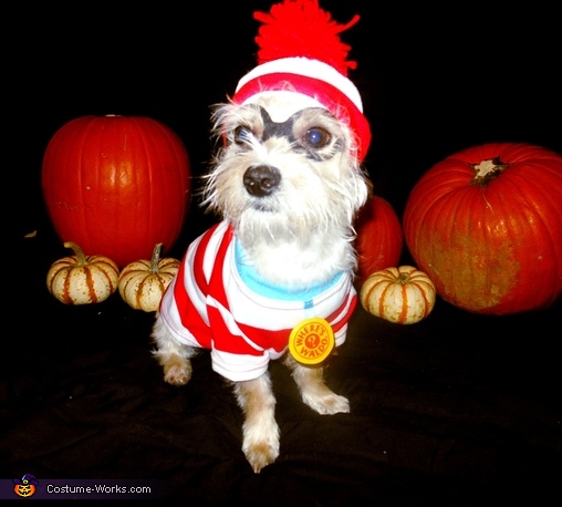 Waldo's Dog Woof Costume