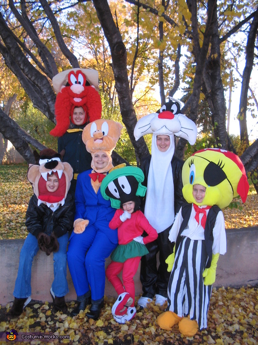 Warner Brothers Family Costume