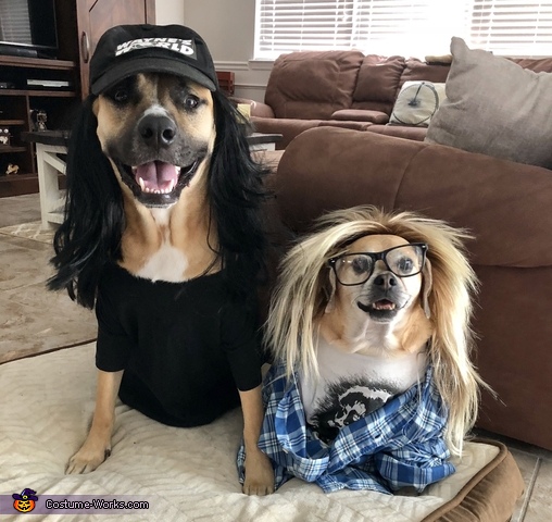 Wayne & Garth Dogs Costume | Best DIY Costumes