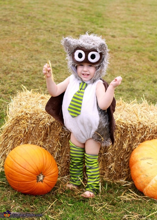 What a HOOT Owl Costume