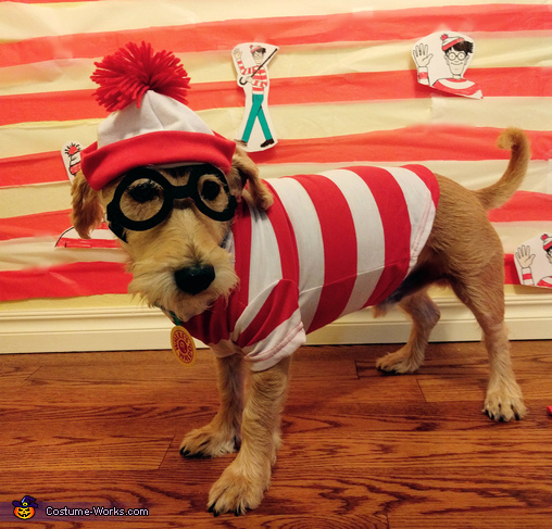 Where's Waldo Dog Costume