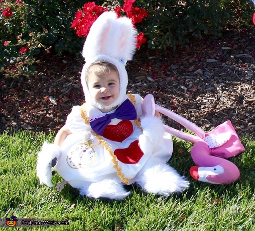 baby white bunny costume