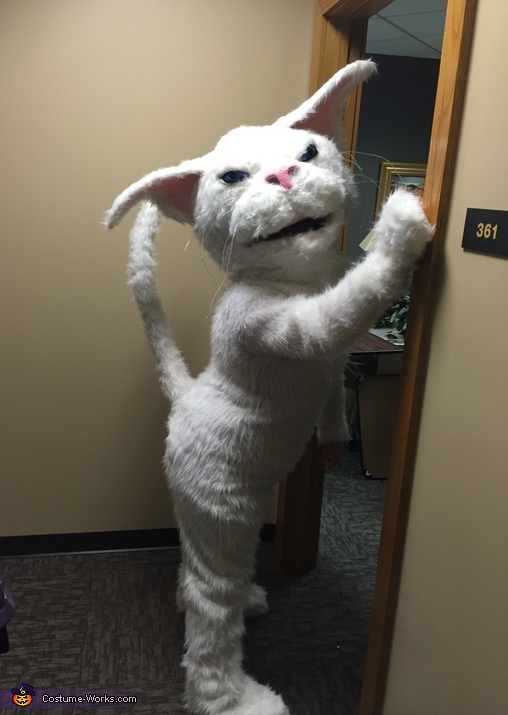 Whitey Cat Costume