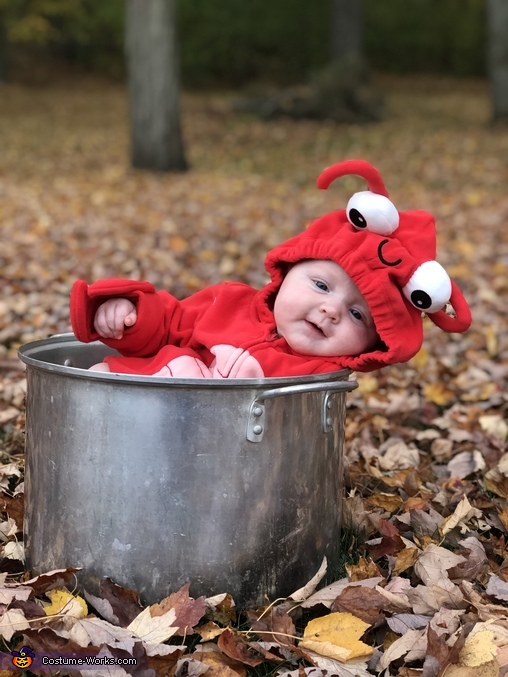 Wicked Cute Lobstah Costume