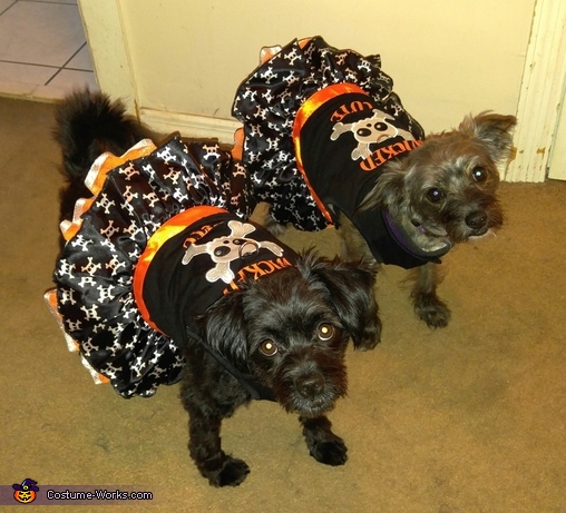 Wicked Cute Pups Costume