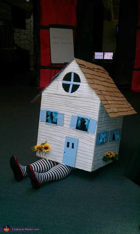 Wizard of Oz House Costume