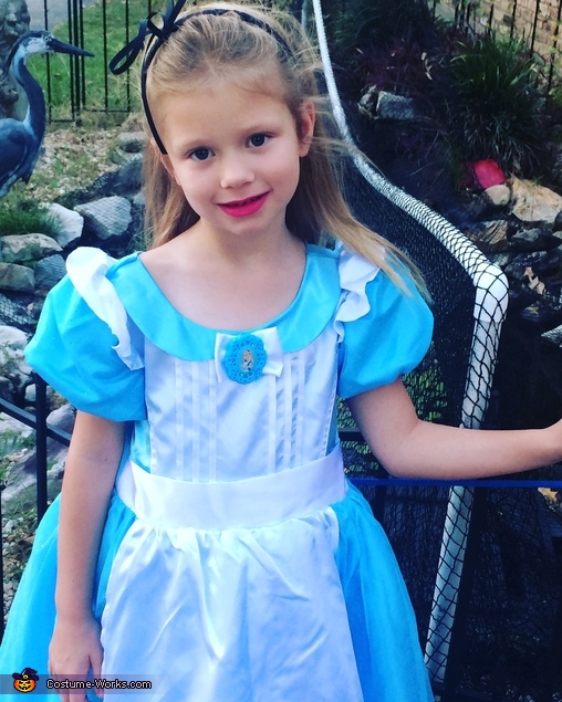 Wild's Wonderland - Alice in Wonderland Family Costume | DIY Costumes ...