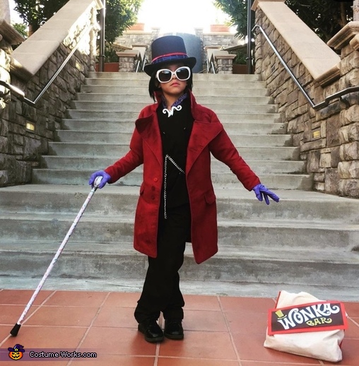 Willy Wonka Costume  DIY Costumes Under $25