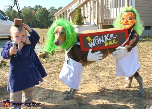 Willy Wonka and his Oompa Loompa's Costume