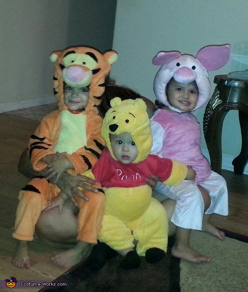 Winnie the Pooh and Friends Costume