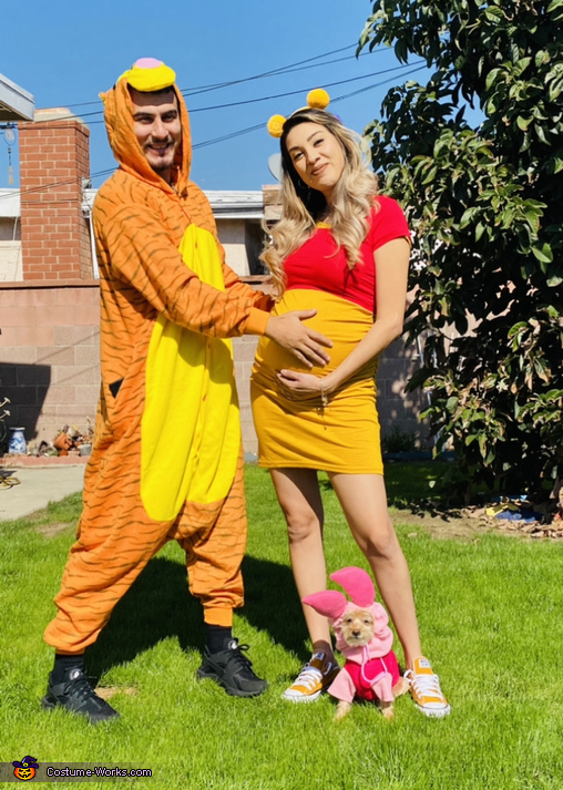Winnie the Pooh and Gang Costume
