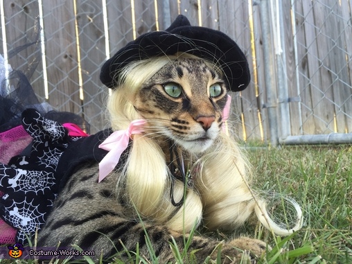 Witch Cat Costume