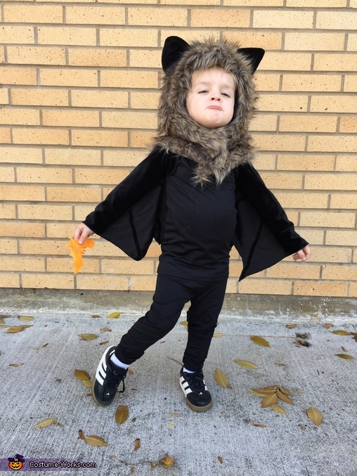 Witch Vampire and Bats Family Halloween Costume | DIY Costumes Under ...