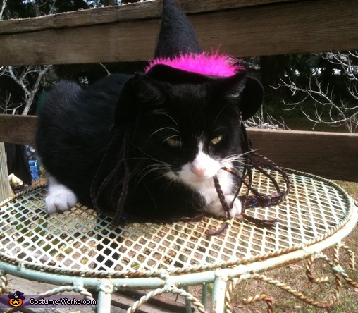 Witchy Kitty Costume